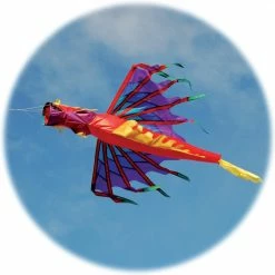 Spirit Of Air Dragon Windsock - Fire FLAG POLES & WINDSOCKS