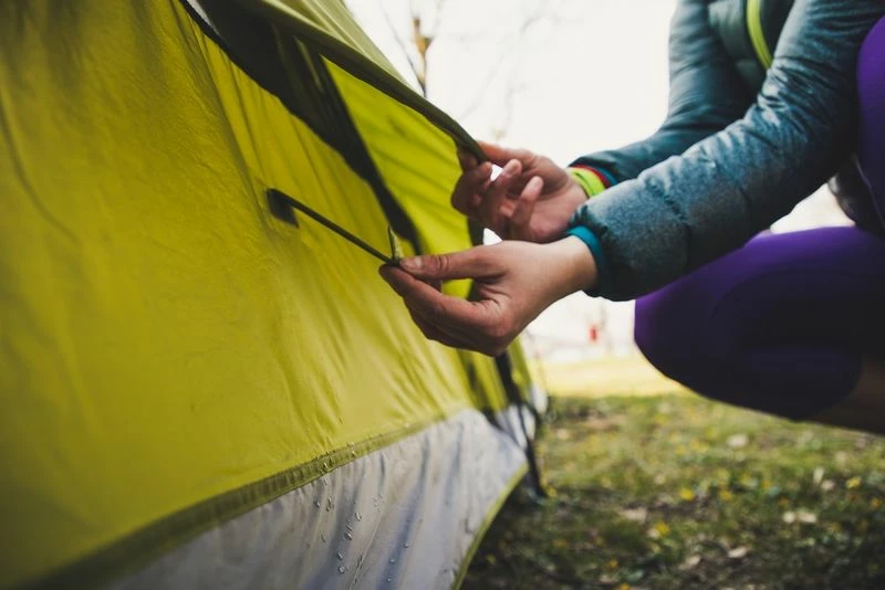 TENTSTENTS Vango Stargrove II 600XL Tent - 2022 Model