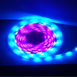 Newquay Camping And Leisure 5M Flag Pole Pre-Set Digital Led Dream Lights Strip