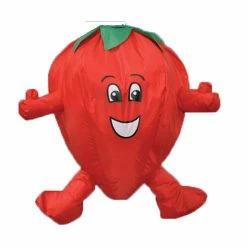 Spirit Of Air Windsocks Strawberry Windsock